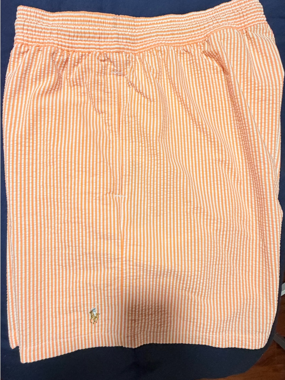 Polo Ralph Lauren Swim Trunk